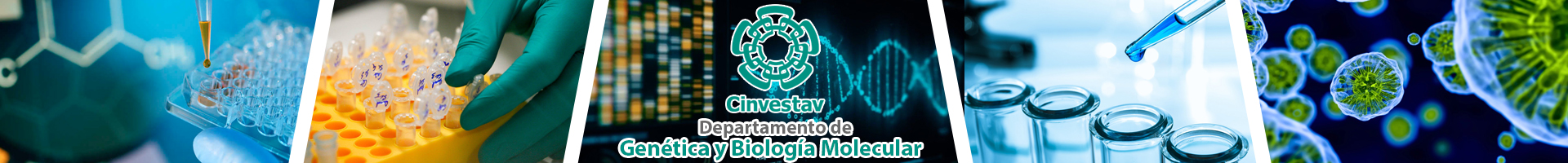 Cinvestav